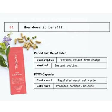 https://cdn.shopify.com/s/files/1/1857/6931/products/n9DAShOjRg.jpg?v=1677501239
